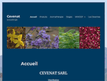Tablet Screenshot of cevenat.fr